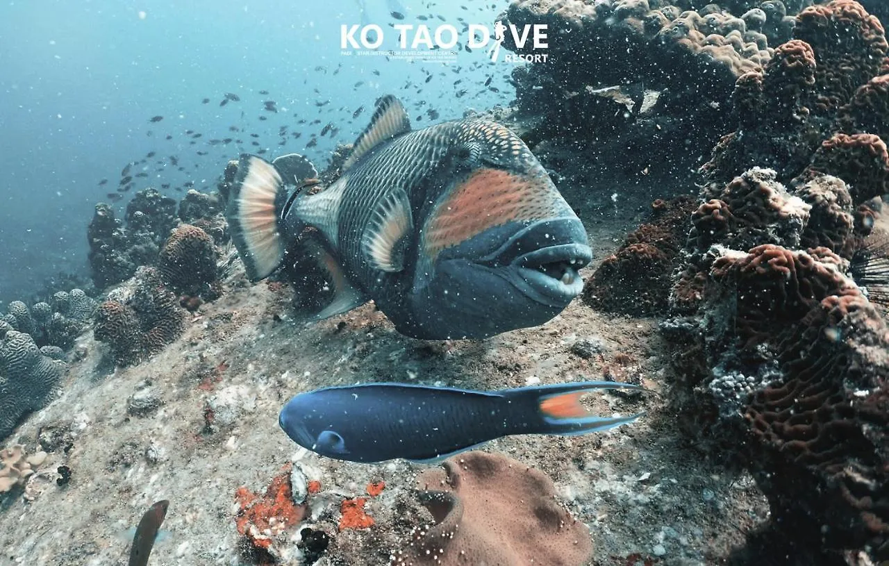 Ko Tao Resort Paradise Zone Ταϊλάνδη