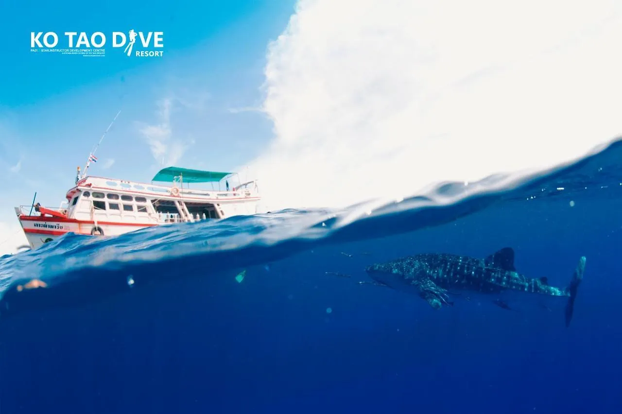 Ko Tao Resort Paradise Zone  Тау